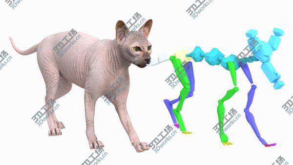 images/goods_img/20210312/3D Dark Cream Sphynx Cat Rigged model/5.jpg